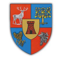 Consiliul Județean Satu Mare