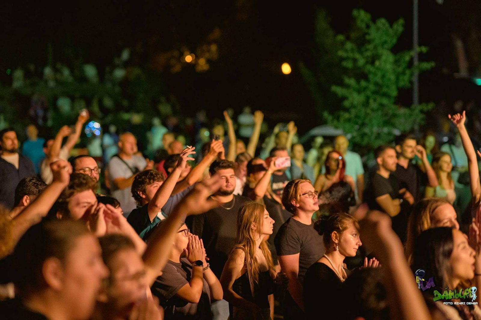 Public ridicând mâinile la concert